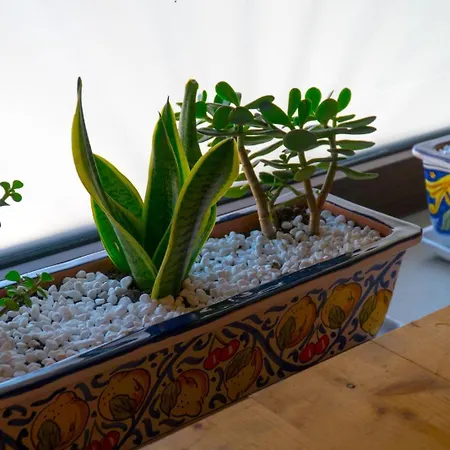 Casa Marilu' Semesterbostad *